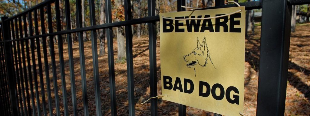 How Common Are Dog Attacks in Toronto?
